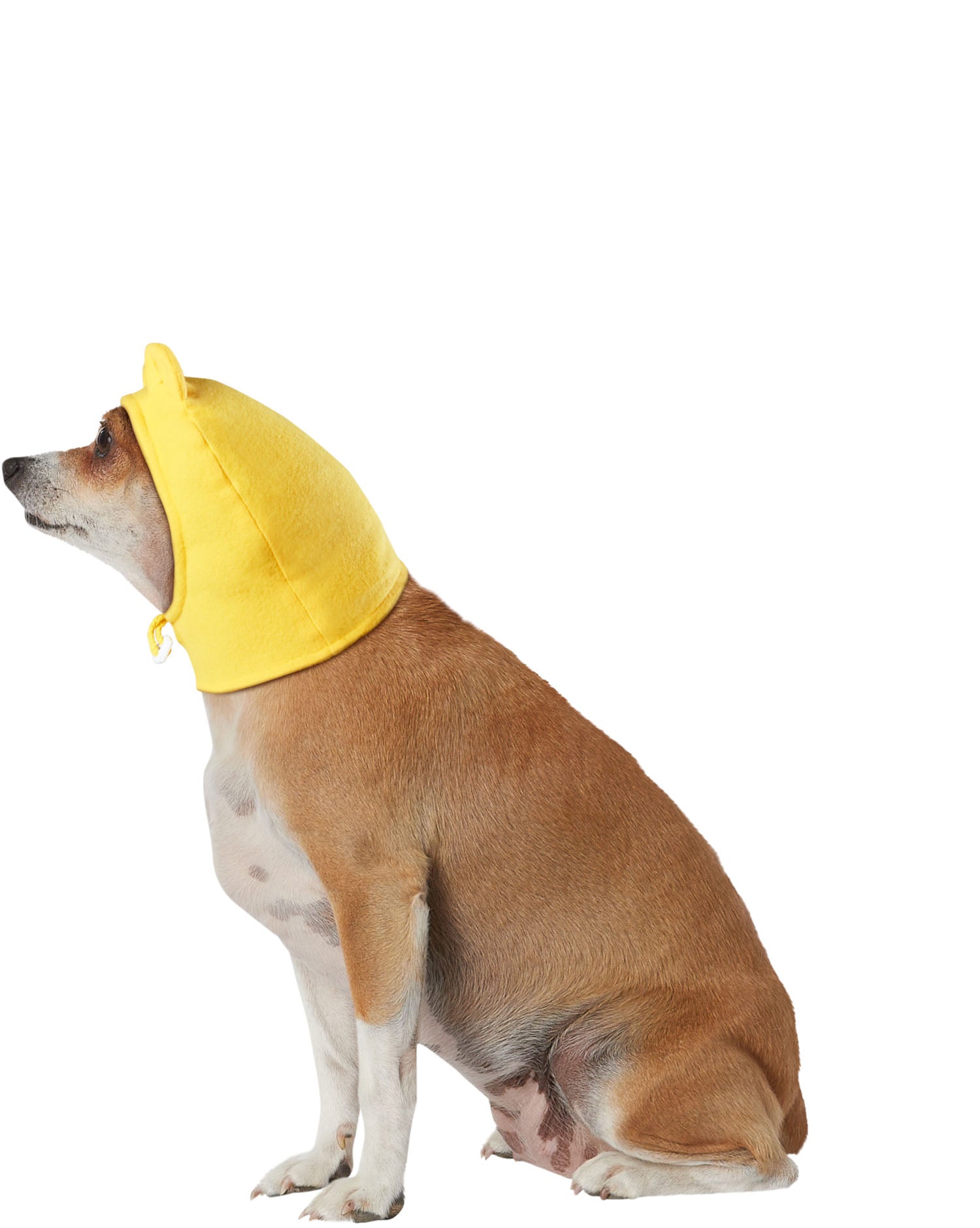 Winnie the Pooh: Pet Costume Headpiece Pooh Bear