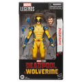 Marvel Legends Series Wolverine Action Figure
