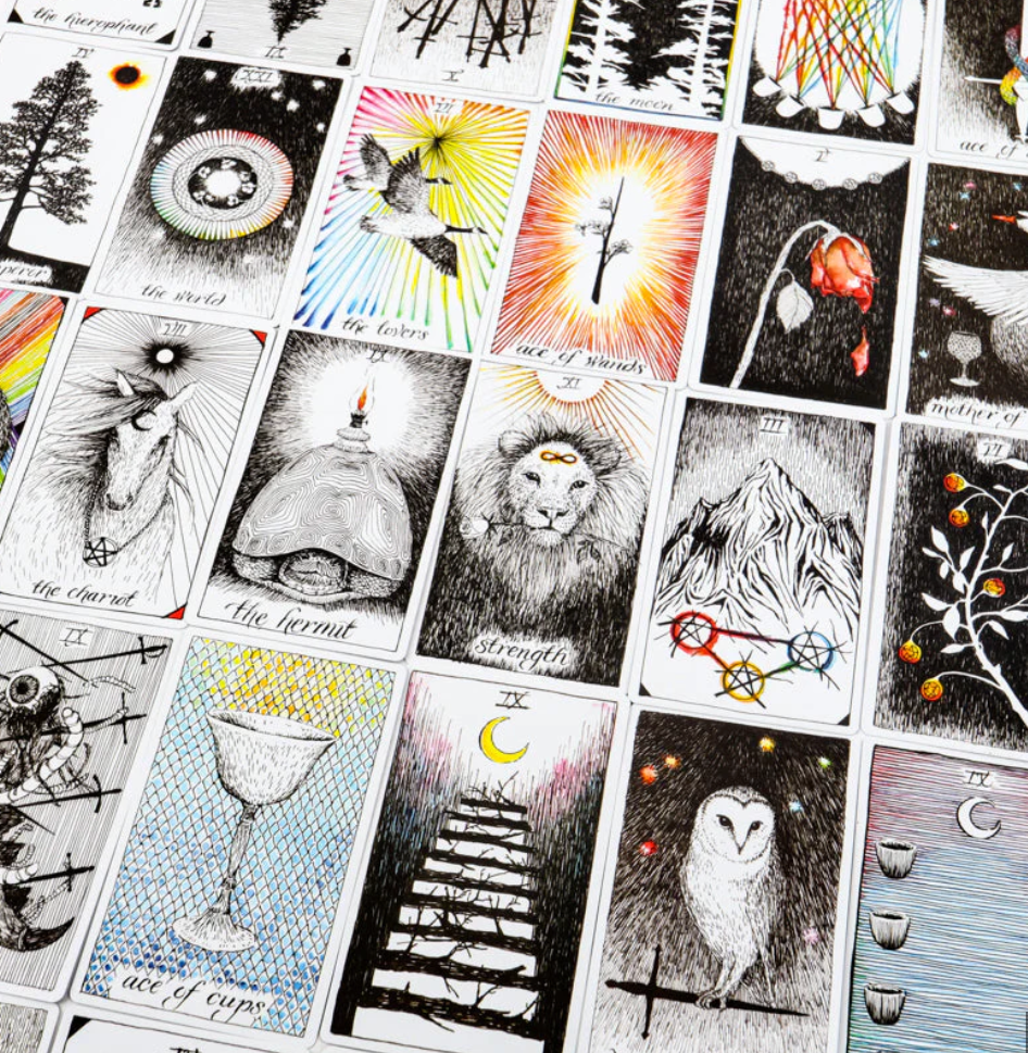 The Wild Unknown Tarot Deck – 78-Card Deck by Kim Krans